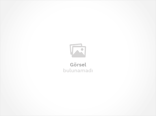 Alerji Nedeni Ile Kedime Acil Yuva Arıyorum
