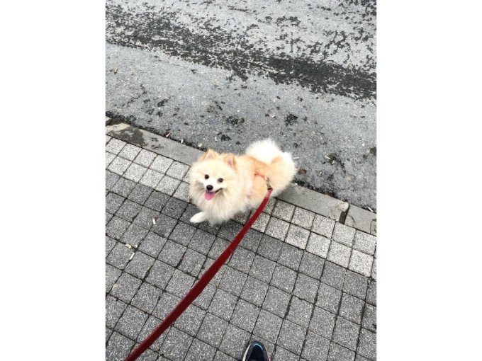 Yavrumuza Yeni Bir Yuva Arıyoruz  