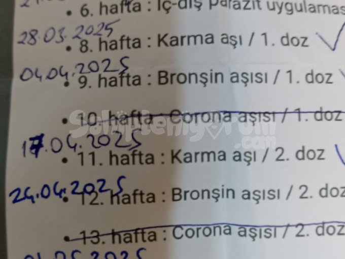 Ücretsiz Sahiplenme