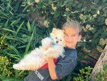Sevimli Köpeğimizi Vermek Durumunda Kaldık